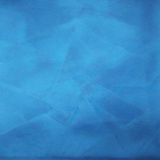 進(jìn)口馬來漆